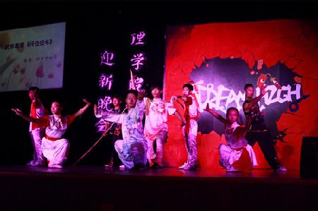 武术表演